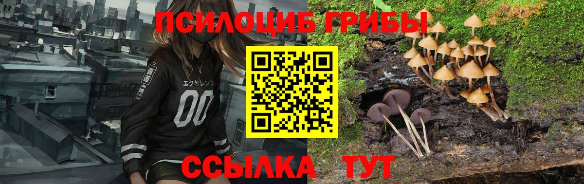 Галлюциногенные грибы Cubensis  Галлюциногенные грибы Magic Shrooms  Санкт-Петербург  Вход с VPN 
