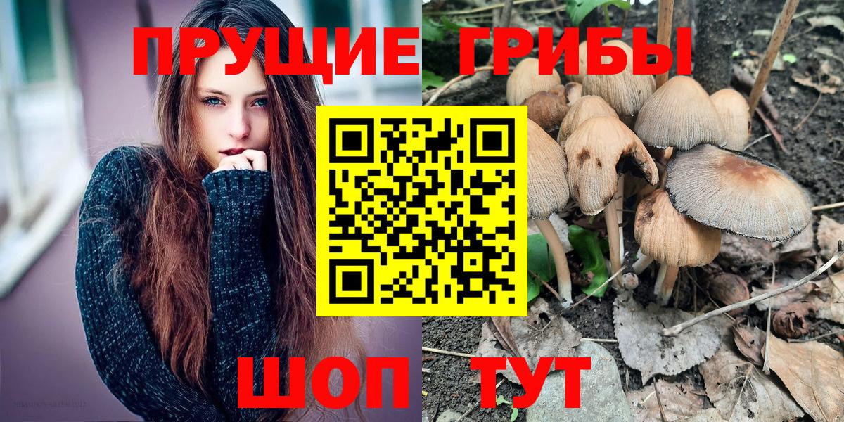 Псилоцибиновые грибы Magic Shrooms Санкт-Петербург
